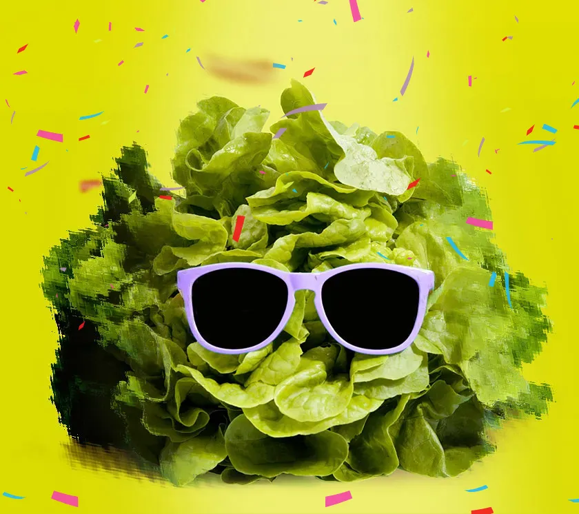 Werbung. GrafikDesign. WebDesign. | Hilden, Erkrath, Haan, Mettmann, Langenfeld